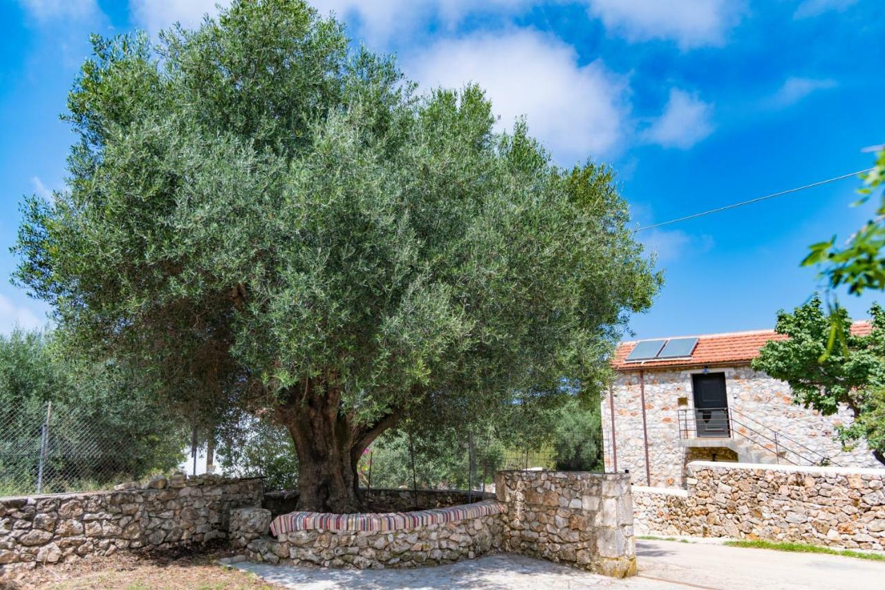 Private Villa Demetra 1768 With Pool - Close To فيسكاردو المظهر الخارجي الصورة